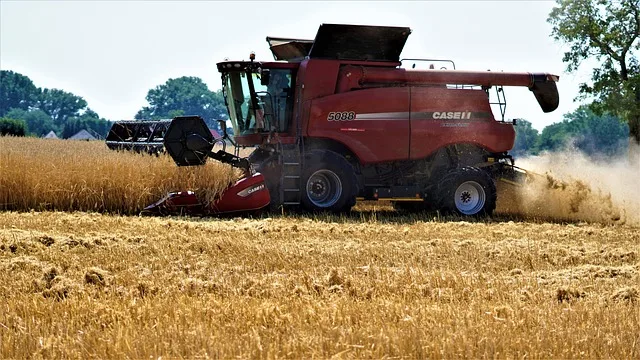 Ewidencja zbiorów — jak notować plony, żeby wiedzieć, które pole naprawdę zarabia