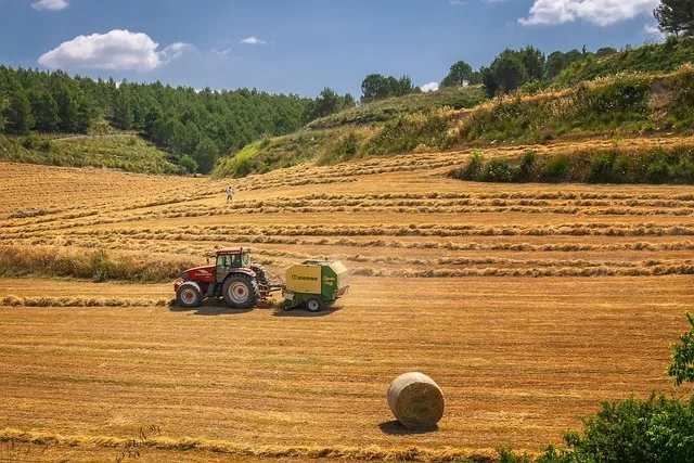 Traktor na polu po żniwach wśród belek słomy podczas prac pożniwnych
