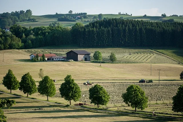 Skoszona łąka z belami siana i ciągnikiem podczas drugiego pokosu