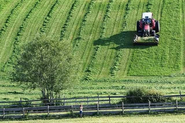 Traktor koszący łąkę latem podczas sianokosów